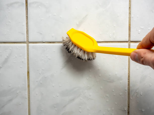 Office Mold Removal Services in Winchester, NV