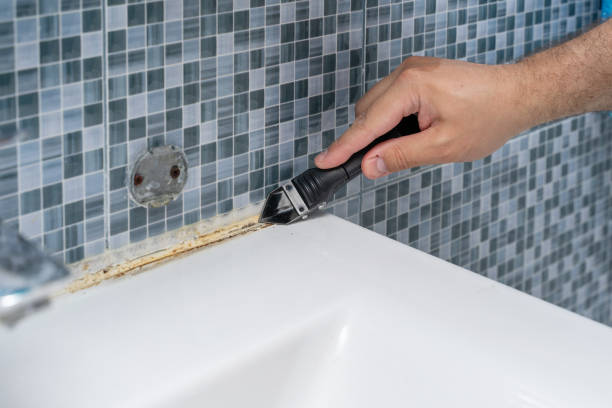 Best Mold Testing  in Winchester, NV