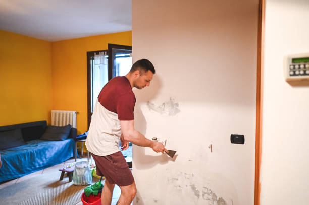 Best Mold Remediation  in Winchester, NV